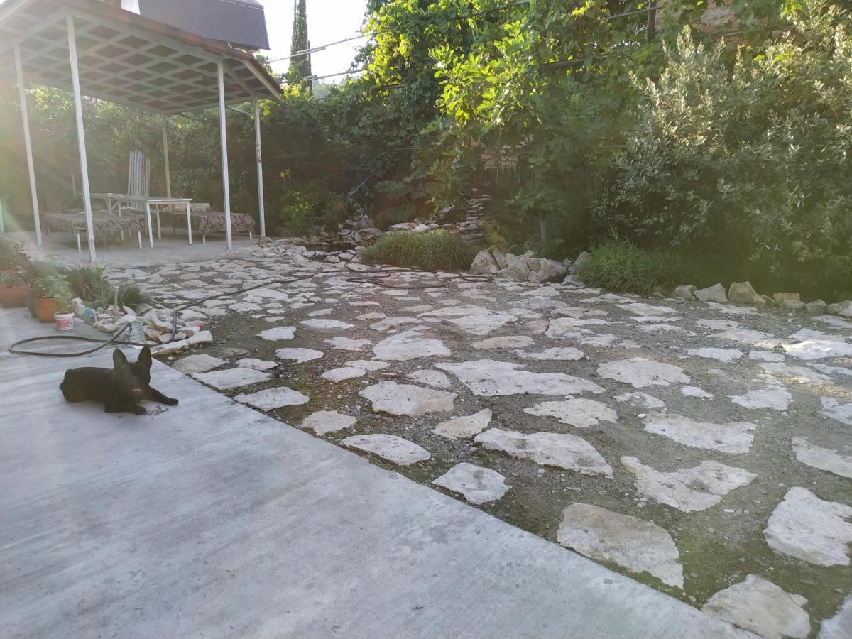 Guest House On Shakirbay 11 Sukhumi Exterior photo